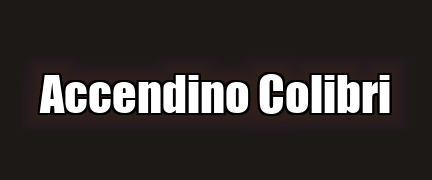 Accendino Colibri Logo